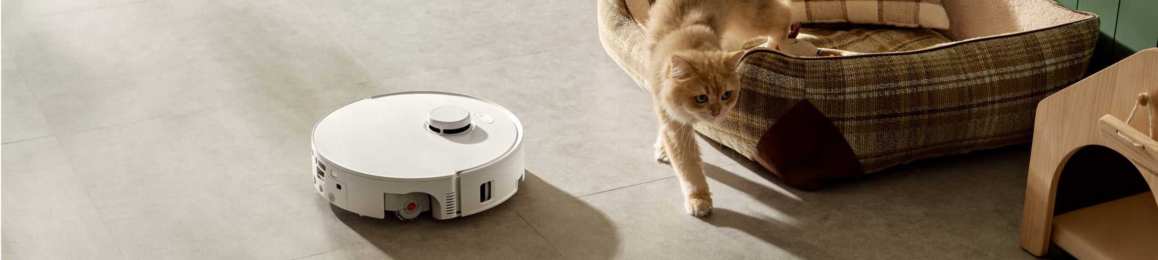Robots Aspirateurs