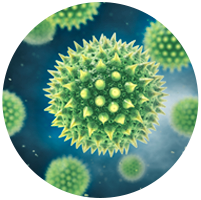 Roborock H6 hjälper dig bli av med 2-100 μm stora pollen